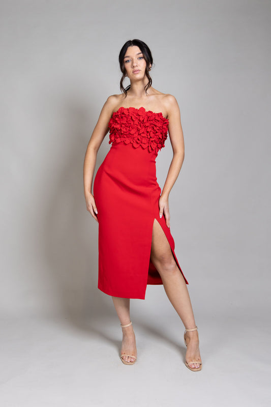 Nadine Merabi – Red Floral Dress